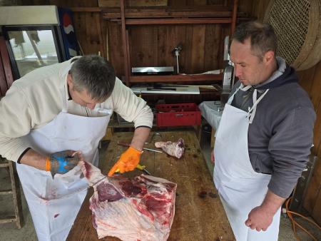 Koline na Cvenu 2025 (3)